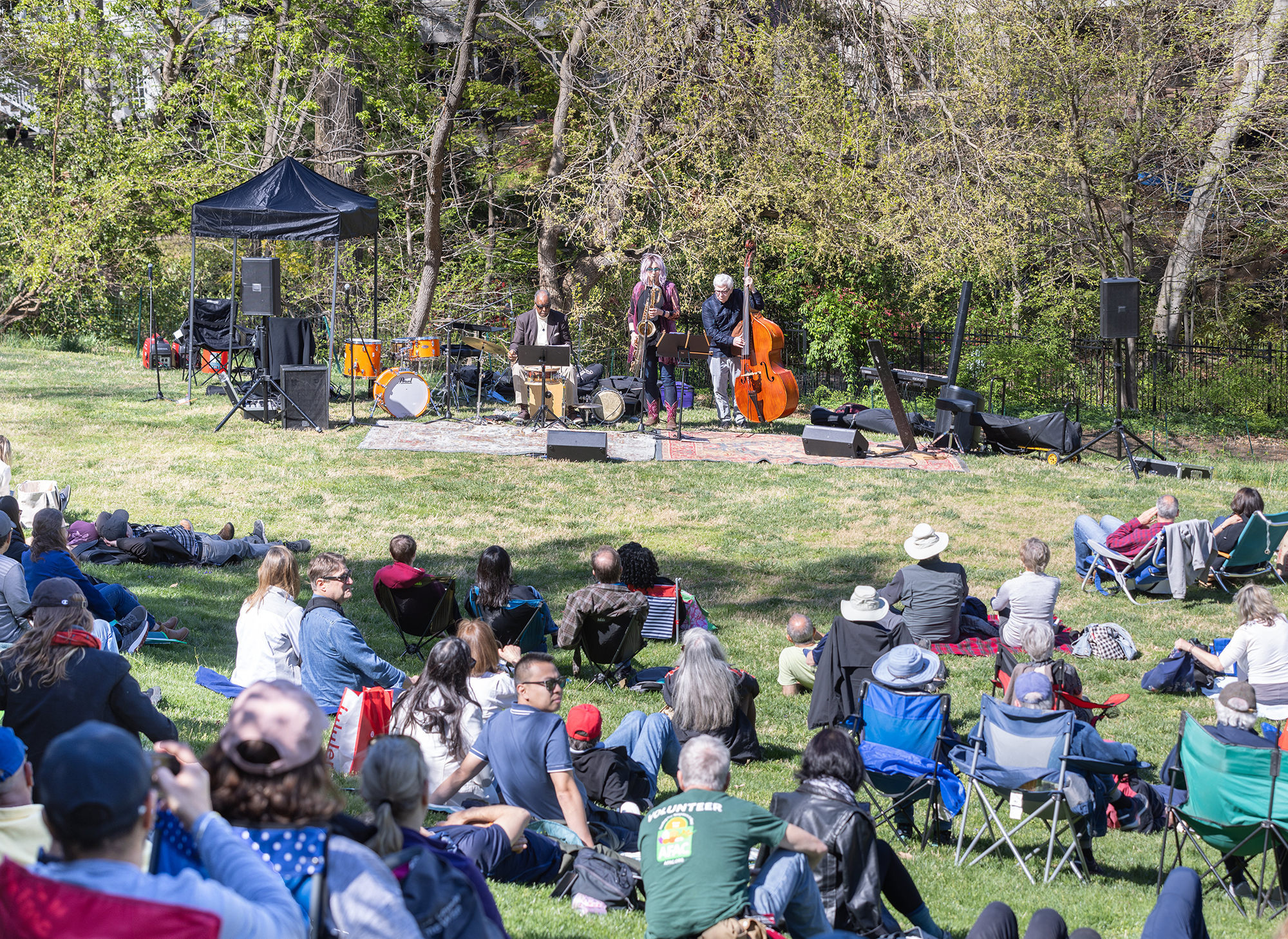 Tregaron Meadow Concert
