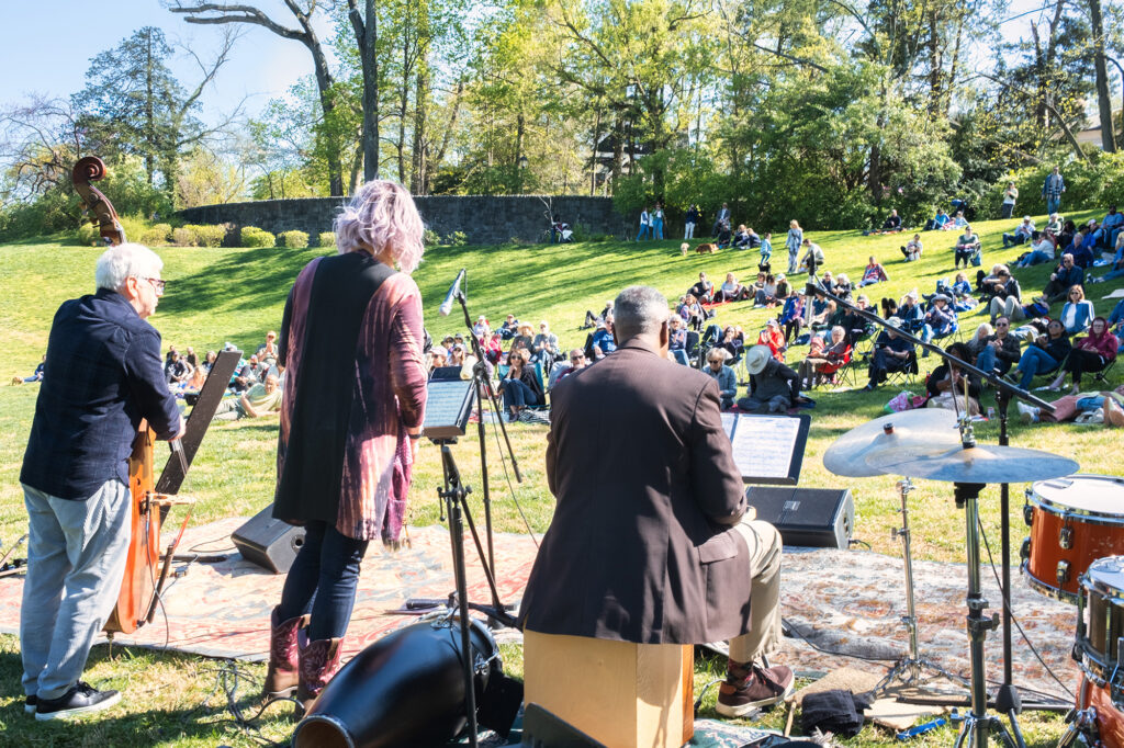 Tregaron Meadow Concert