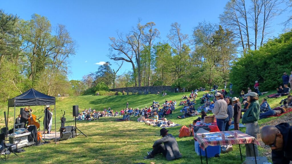 A crowd gathers for a live performance at Tregaron Conservancy